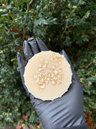 Breast Milk, Honey, & Oats