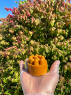 Turmeric Massage Bar