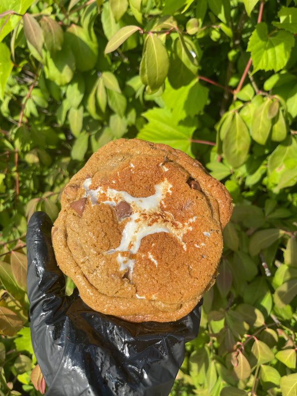 SMORE Chocolate Chip Cookie